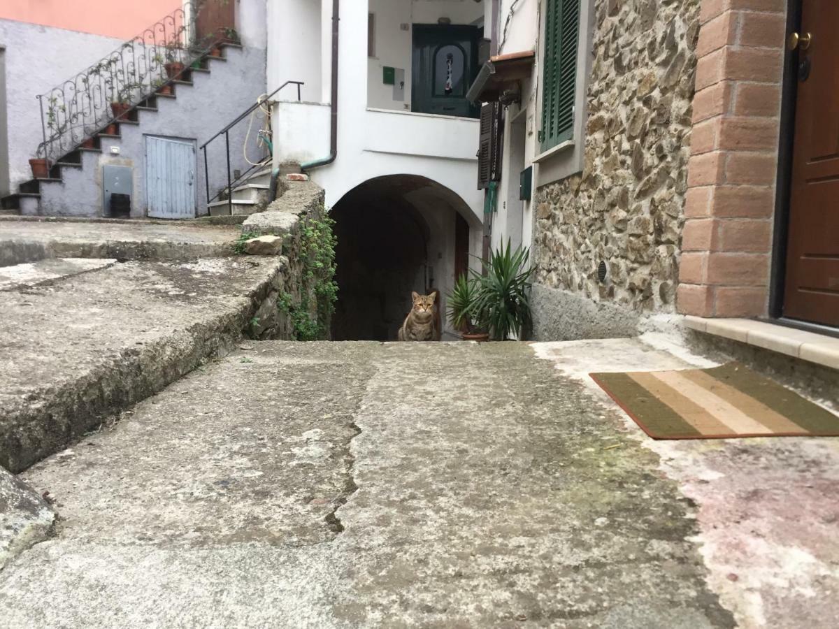 Red House Villa Tivegna Dış mekan fotoğraf